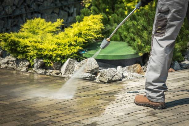Best Spring Cleaning  in Interlachen, FL