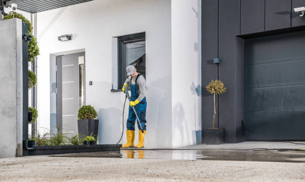 Best Rust Removal  in Interlachen, FL